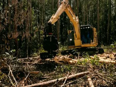 Land Clearing Services Des Moines in Des Moines